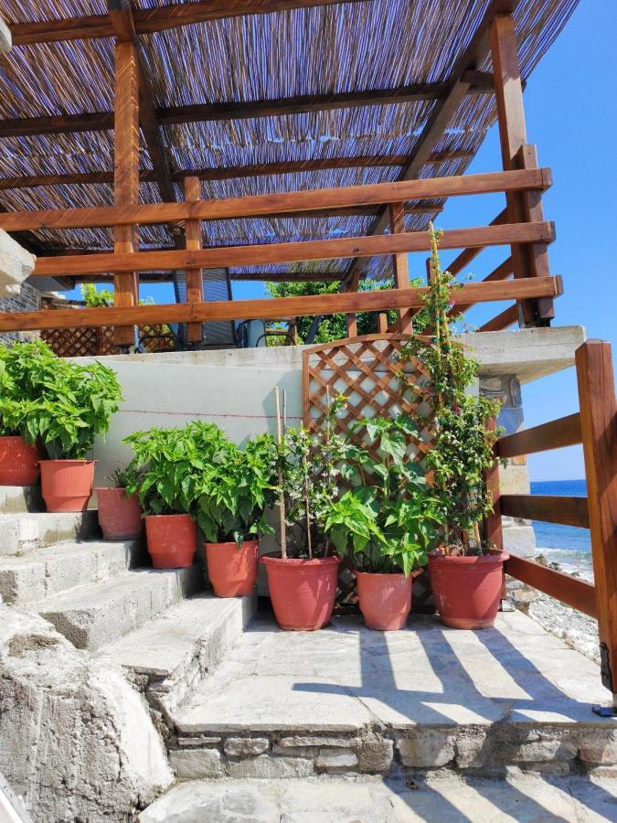Villa Συγκρότημα Διαμερισμάτων "Όνειροι" - Ίκελος Zagora Exterior foto
